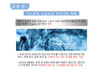 레저산업론 익스트림 스포츠 Extreme Sports-10