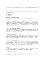 명탐정 코난 레포트-2