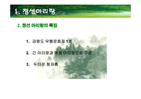 한국의 민속 - 정선아리랑을 통해 살펴본 소설속 민요-4