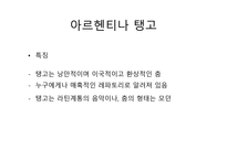 예체능 배워 볼만한 사교댄스 댄스스포츠 아르헨티나 탱고 라틴댄스 스윙댄스-17