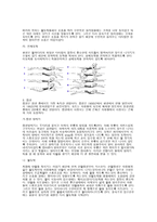 수영 지도법 자유형 평영 접영-3