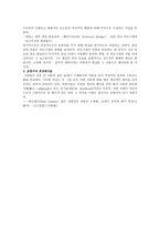 동양 서양 회화이념의 비교-4