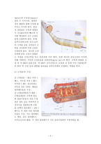 예체능 골격근에 대하여-2