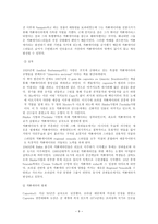 예체능 브라질 무술-9