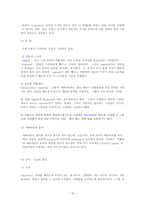 예체능 브라질 무술-10