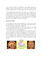 기억의 재발견-3