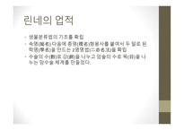 근대생물학의 탄생과 성장 분류학 해부학 진화학 유전학 생태학 생물지리학-4