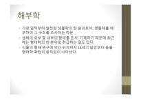 근대생물학의 탄생과 성장 분류학 해부학 진화학 유전학 생태학 생물지리학-5