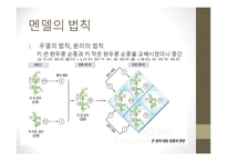 근대생물학의 탄생과 성장 분류학 해부학 진화학 유전학 생태학 생물지리학-11