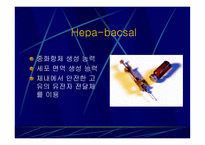 의약학 Hepatitis-15
