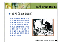 의학 뇌사 및 장기 이식-7