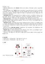 간호학 가족의 상호작용과 가족간호의 개념-13