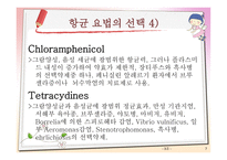 항균요법 프레젠테이션 항생제 종류 VANCOMYCIN 항균요법 Antimicrobial therapy-7
