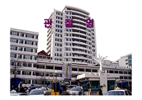 의약학 관절염-1