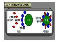 의약학 관절염-4