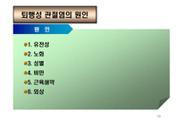 의약학 관절염-13