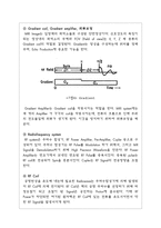진단 방사선과 PK 레포트 MRI MRI 역사 MRI 개요 MRI 물리적 원리 MRI 시스템-10