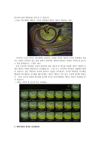 미술치료와 뇌과학-6