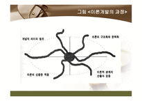간호 이론의 이해 간호이론 기능 간호이론 정의 간호 이론 필요성 간호이론 구성 요소 간호이론 구축방법 간호이론 평가 간호이론 분류 간호이론 활용 간호이론 쟁점-14