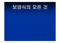 보양식의 모든 것 보양식 정의 우리 보양식 한국 보양식 세계 보양식-1