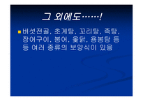 보양식의 모든 것 보양식 정의 우리 보양식 한국 보양식 세계 보양식-10