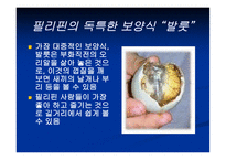 보양식의 모든 것 보양식 정의 우리 보양식 한국 보양식 세계 보양식-15
