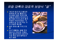 보양식의 모든 것 보양식 정의 우리 보양식 한국 보양식 세계 보양식-16