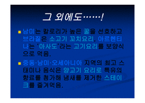 보양식의 모든 것 보양식 정의 우리 보양식 한국 보양식 세계 보양식-19