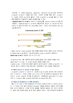 진단 분자 유전학 REPORT chapter Ⅵ - RT - PCR-5