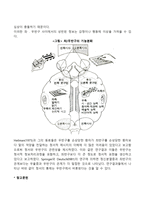 [대뇌반구의 기능] 좌반구와 우반구의 기능과 역할-3