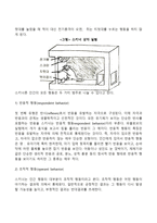 스키너의 조작적 조건화이론(반응적 행동과 조작적 행동, 긍정적 강화인과 부정적 강화인)-3