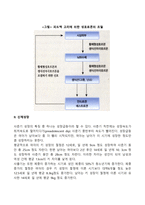 청소년기(사춘기) 신체발달(청소년기의 내분비계 변화, 신체성장, 성적성숙, 사춘기의 시작시기)-3