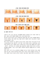 청소년기(사춘기) 신체발달(청소년기의 내분비계 변화, 신체성장, 성적성숙, 사춘기의 시작시기)-5