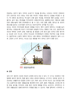 성인 초기의 신체적 발달특성-3