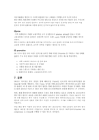 [국제마케팅] SK윤활유의 중국시장 마케팅전략-11