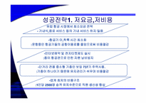 [기업성공사례] 유럽 초저가 항공시장의 리더 Ryan air 라이언에어 성공전략-12