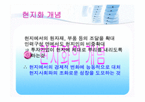 [국제경영학] 현지화전략의 필요성과 사례-3
