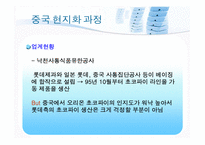 [국제경영학] 현지화전략의 필요성과 사례-13