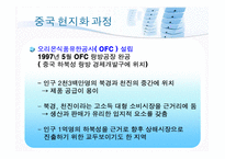 [국제경영학] 현지화전략의 필요성과 사례-15