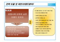 [경영전략] 코리아나 경영 전략-10