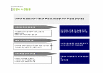 [광고기획안] 코리아나 화장품 전략적 광고기획안-10