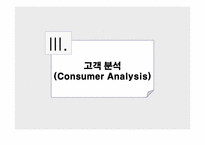 [광고기획안] 코리아나 화장품 전략적 광고기획안-15