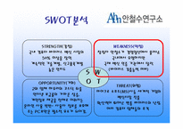 [경영학] 안철수연구소 기업분석-5