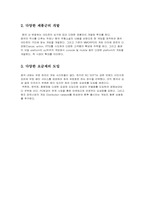 [국제경영](주) NC SOFT(엔씨소프트)의 중국진출사례 분석-14