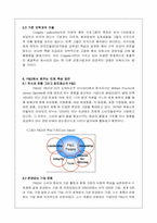 [국제경영] Colgate Pamolive(콜게이트 팜올리브)의 인사관리 기법-20
