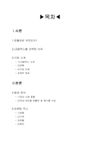 [국제마케팅] LG칼텍스(시그마 PAO) 마케팅믹스전략-2