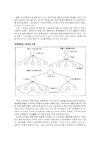[경제학] 한국의 재벌-4