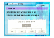 [조직행동론] 팀제 Team Process에 대해서-8