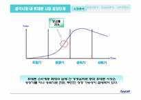 [국제경영전략] 중국시장에서의 삼성 `Anycall`(애니콜) 명품전략-6