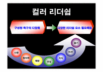 [조직행동] 현대적 리더쉽 -컬러리더십-7